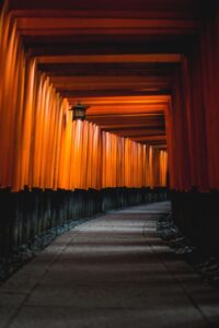 Fushimi-Inari-Shirone
