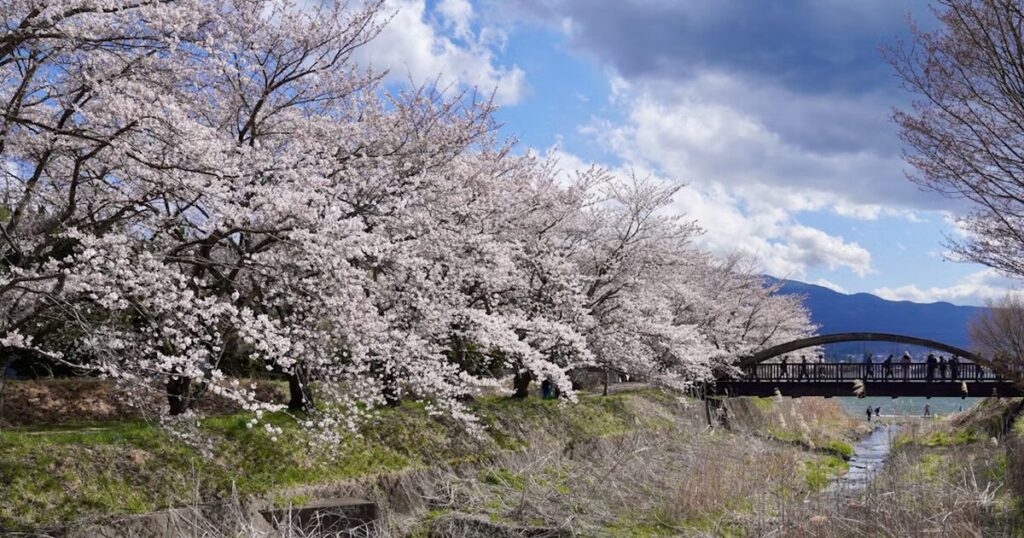 Japan in Spring: Best Places to Visit and Travel Tips